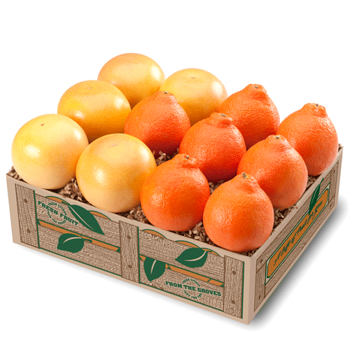 Honeybells & Grapefruit