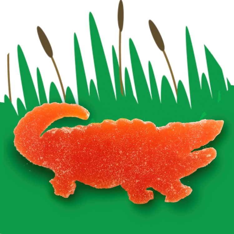 Add On- Orange Citrus Alligator